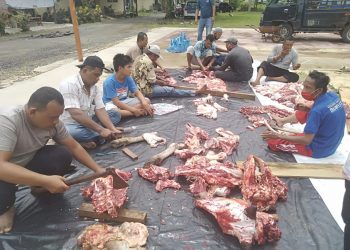 Pemotongan hewan kurban