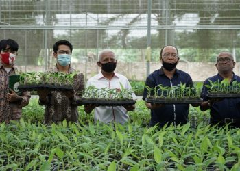 Ini Pesan Bupati Asahan Surya saat Tinjau Laboratorium Pengembangan Pisang