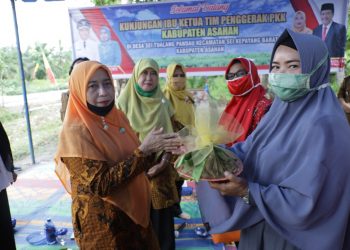 Kunjungi Kecamatan Tanjungbalai dan Sei Kepayang Barat Ketua TP PKK Kabupaten Asahan Beti Bibit Sawi