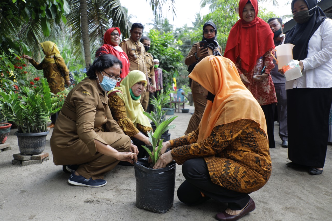 Kunjungi Kecamatan Tanjungbalai dan Sei Kepayang Barat Ketua TP PKK Kabupaten Asahan Beti Bibit Sawi