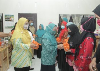 Dukung Program Kesehatan, UPTD Puskesmas di 3 Kecamatan Latih Kader Posyandu