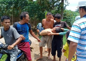 2 Murid SD Tewas di Kolam yang Ada di Kebun Sawit