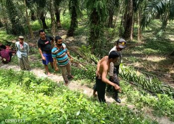 Ucok Tewas Tertusuk Egrek