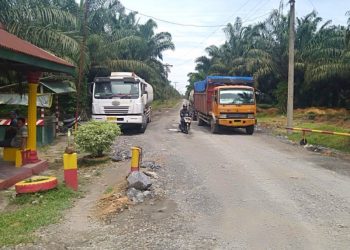 Rempes Tanaman Kelapa Sawit Untuk Bangun Jalan ke PKS, PT Varem Diduga Langgar Perjanjian Kontrak