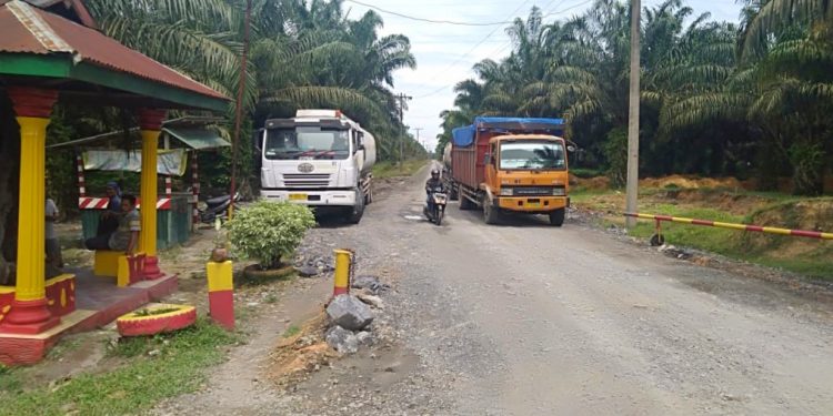 Akses jalan pertama yang dibangun PT Varem. Tampak mobil tangki pengangkut CPO milik PT Varem.