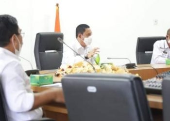 Dinas P2KB Labuhanbatu Data Keluarga dan PUS di Kampung KB