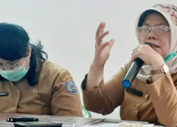 Dinas P2KB Labuhanbatu Data Keluarga dan PUS di Kampung KB