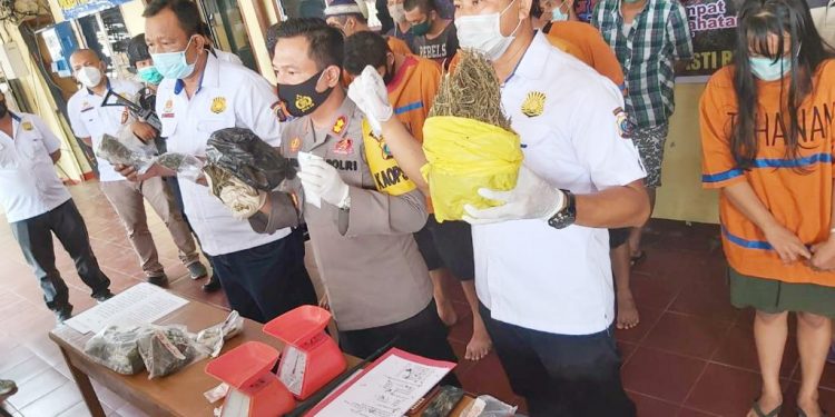 Kapolres Pematangsiantar, AKBP Boy Sutan Binanga Siregar (depan tengah) memperlihatkan barang bukti narkoba yang berhasil diamankan.