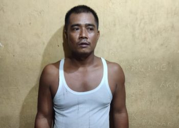 Uang Hasil Penjualan Kerbau Tak Dibayar, Suprayetno Masuk Sel