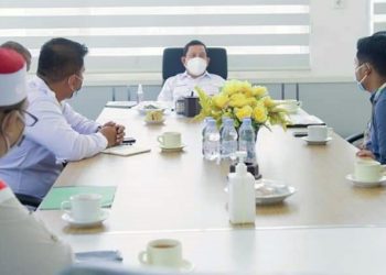 Pemkab Labuhanbatu Peringati Hari Pahlawan Secara Virtual