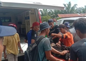 Seberangi Aliran Anak Sungai, Agus Salim Tewas Tenggelam
