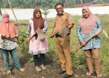 Manfaatkan lahan Kosong, DLH Labuhanbatu Tanam Holtikultura