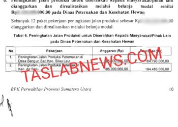 Bukti proyek bermasalah di Dinas Peternakan dan Kesehatan Hewan Asahan yang jadi temuan BPK.