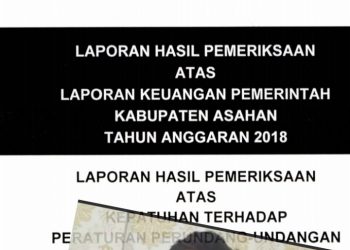 Buku temuan BPK, Insert Muhammad Safii