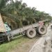 Sopir Ngantuk, Truk Trailer Terjungkal ke Parit di Kecamatan Meranti