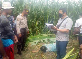 Pamit Pergi ke Ladang Jagung, Nuriah Pardede Ditemukan Tewas