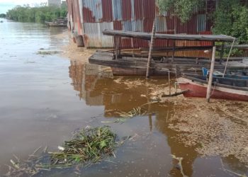 Perusahaan Penggilingan Padi Taniman Terus Beroperasi, Kinerja Balai Gakkum LHK Sumatera Dipertanyakan.