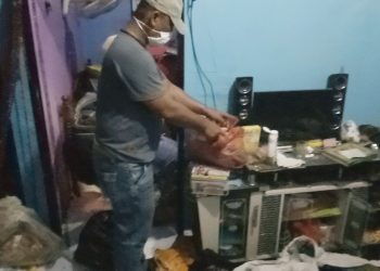 Simpan 500 Gram Ganja, Odiek Diamankan Personil Polsek Tanjungbalai Utara