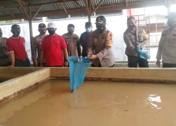 Tinjau Kampung Tangguh di Desa Serdang, Waka Polres Asahan Bagi-bagi Sembako ke Warga Lansia