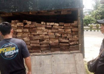 Angkut Kayu 4 Ton Tanpa Dokumen, 3 Pelaku Diamankan