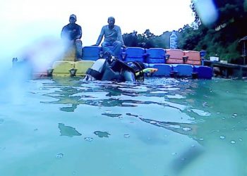 Pangkalan TNI AL TBA Transplantasi Terumbu Karang di Pulau Salah Namo