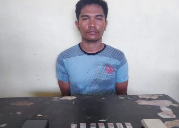 Miliki 22 Paket Sabu, Lian Diringkus Polisi