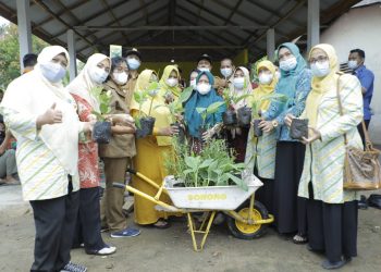 Sosialisasi Budidaya Toga, Hj Titiek Harap Desa Taman Sari Menang Lomba Hatinya PKK