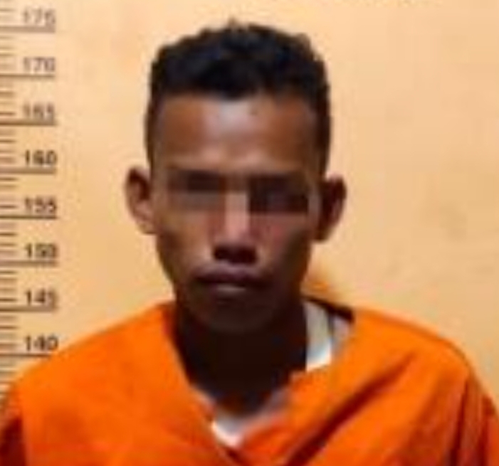 Waduh, Pria Ini Bunuh Bibinya Karena Melawan saat Akan Diperkosa