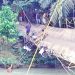 Jembatan Penghubung Antar Dusun di Labura Ambruk, Enam Warga Terluka