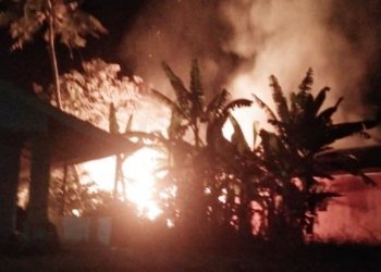 Baru Panen, Dua Ton Padi Milik Richard Sinaga Hangus Dilalap Api