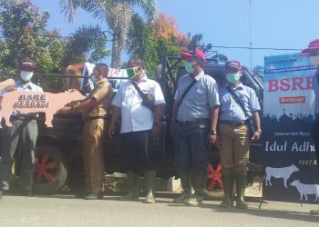 Kades Aek Nagali Asahan Terima 1 Lembu Kurban dari PT Bridgestone Rubber Estate untuk Dibagi pada Masyarakat