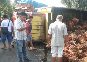 Diduga Over Tonase, Truk Sawit Pecah Ban dan Terguling di Jalinsum Asahan
