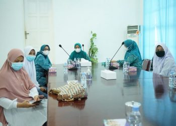 TP PKK Asahan Sekarang Miliki Aplikasi e-PKK