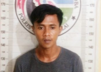 Tantowi Yahya Simpan 16 Bungkus Sabu, Diamankan Satres Narkoba Polres Tanjungbala