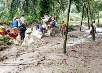 Curah Hujan Tinggi dan Banjir Kiriman dari Asahan, Rendam 232 Rumah Warga Batubara
