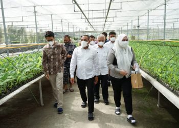 Gubsu Minta Pemkab Asahan Dukung PT Hijau Surya Biotechindo Kembangkan Pembibitan Pisang Kepok
