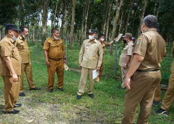 Bupati Asahan Minta agar Akses Jalan Keluar Hutan Kota TGS jadi Kawasan Kuliner