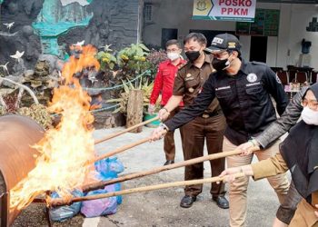 Kejari Asahan Musnahkan 296,05 Gram Narkoba, Barang Bukti Periode Maret – Agustus 2021