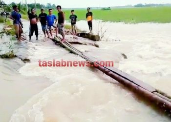 Seminggu Terendam Banjir, 200 Ha Padi di Meranti Asahan Terancam Gagal Panen