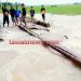 Seminggu Terendam Banjir, 200 Ha Padi di Meranti Asahan Terancam Gagal Panen