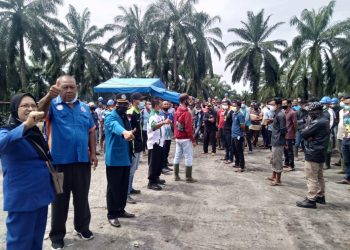 PT PP Lonsum Indonesia Tak Lunasi Bonus, Ratusan Karyawan di Asahan Mogok Kerja