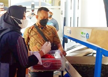 Ayo Budidaya Cacing Lumbricus Rubellus, Bisa untuk Peluang Bisnis, Obat Typhus dan Kosmetik Loh