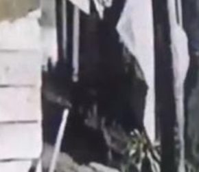 Hiiii, di Tanjungbalai ada Pocong Doyan Curi Tabung Gas Elpiji 3 Kg, Aksinya Terekam CCTV