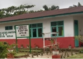 Diduga Gelapkan Dana Pemeliharaan TU, Asisten Afdeling IV Kebun Pulu Raja dilaporkan ke Direksi PTPN IV Medan