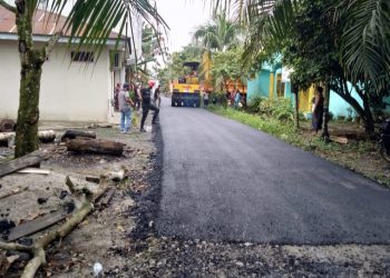 Diduga Ada Kecurangan, Dinas PUPR Diminta Periksa Proyek Pengaspalan Jalan di Desa Pulau Rakyat Asahan