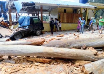 Pohon Tumbang Timpa Warung di Jalinsum Siantar – Parapat, Seorang Lansia Luka Berat