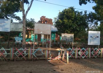 950 Bibit Sawit di Kebun Sei Silau Asahan Rusak