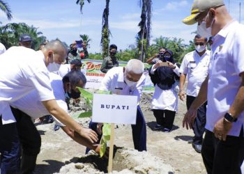 Gebyar Tanam Pisang, Kembangkan Komoditi Pisang Barangan di Kabupaten Asahan