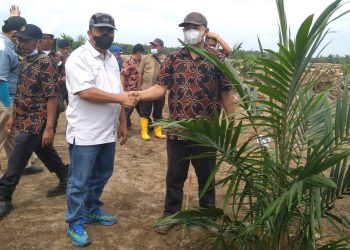 PTPN IV Pulu Raja Tanam Perdana Kelapa Sawit di Lahan Seluas 186 Ha