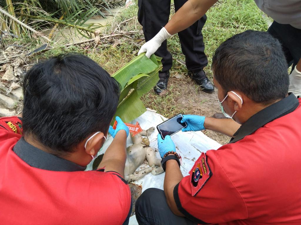 Ternyata Tersangka Pembuang Mayat Bayi Laki-laki di Sungai Sitio Tio Asahan Adalah Cewek Berusia 18 Tahun